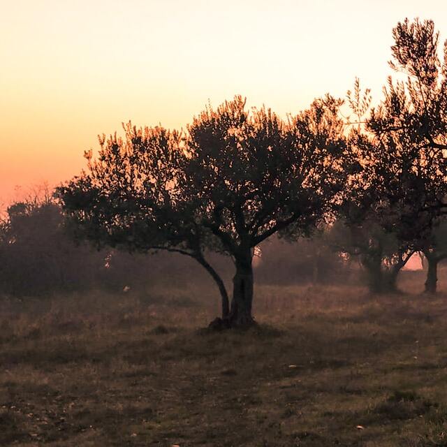 david-boca-ZKIWulcgeOA-unsplash (2)